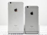 Apple iPhone 6s vs. iPhone 6s Plus back view