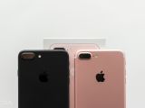 iPhone 7 Plus dual cameras - notice the white antenna lines on the Rose Gold