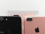 iPhone 7 Plus dual cameras - notice the white antenna lines on the Gold Rose