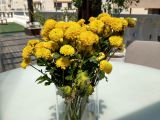HTC U11 flowers photo test 1