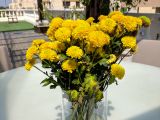 Google Pixel XL flowers photo test 1
