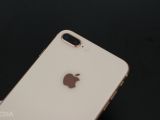 iPhone 8 Plus (Gold variant)