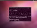 The Terminal makes everything faster in Linux, but for beginners, it's an unexplored world that takes patience and hours or researching