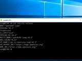 Running a SUSE Linux shell on Windows 10