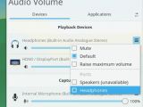 Audio Volume Device Menu