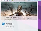 Controlling Amarok through a pinned launcher while its tray icon is buried deep in system tray