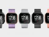 All color variants for new Fitbit watch