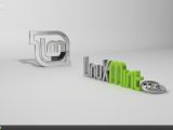 Linux Mint 17.3