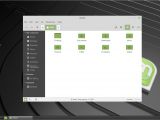 Linux Mint 19 Beta Cinnamon - File manager