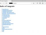 Server index of a Magento store infected with KimcilWare