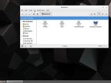 Cinnamon 2.6.13 desktop with Samba running