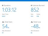 Microsoft Health running statistics