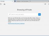 A browsing mode can be activated for automatically deleting browsing data (like cookies, history, or temporary files)