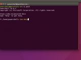PowerShell on Ubuntu