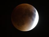 Supermoon lunar eclipse seen from Washington, DC