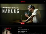 Netflix for iOS on iPad