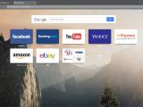 Opera browser with Reborn UI