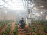 Astronaut Mark Watney starts his own farm
