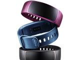 Samsung Gear Fit 2 Color