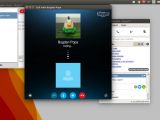 Skype for Linux in action