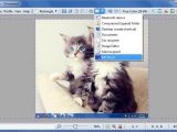 Transfer photos into Word or another image editor