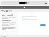 Users were eventually redirected to this phishing page