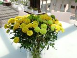 Sony Xperia XZ Premium flower test photo #1