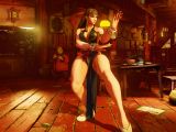 Street Fighter V Collector's Edition combat stance