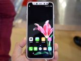 Apple iPhone X clone built in China