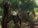 The Witcher 3 - Wine and Blood combat