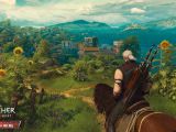 The Witcher 3 - Wine and Blood discovery