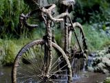 A petrified bicycle