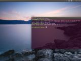 Ubuntu 16.04 LTS is now officially powered by Linux kernel 4.4 LTS