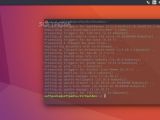Ubuntu 16.10 gets new default wallpaper