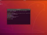 Ubuntu 18.04.2 LTS running Linux kernel 4.18