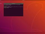 Ubuntu 18.04.3 LTS running Linux kernel 5.0