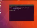 Ubuntu 18.04 LTS running on Xorg