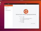 Ubuntu 18.10 with Yaru theme - about dialog