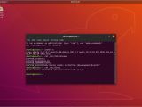 Ubuntu 18.10 with Yaru theme - terminal