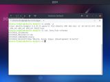 Ubuntu Budgie 17.04 runs on Linux kernel 4.9