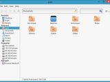 Extended file manager