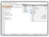 Open the Plugins menu of Notepad++ go to Compare and click Compare
