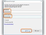 After clicking Encrypt in VSFileEncrypt, enter the password and confirm it