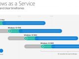 Windows is now considered a service, with two updates landing every year