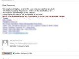 Two spam email samples spreading the new trojan