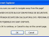 Ransomware alert popup shown to IE users