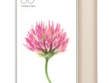 Xiaomi Mi Max gold variant