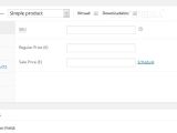 Price input field inside WooCommerce product pages