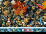AndEX Oreo 8.1 Desktop with Microsoft Launcher
